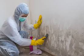 Best Residential Mold Inspection & Testing  in USA